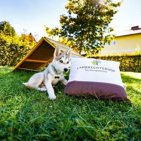Lambrechterhof - Naturparkhotel