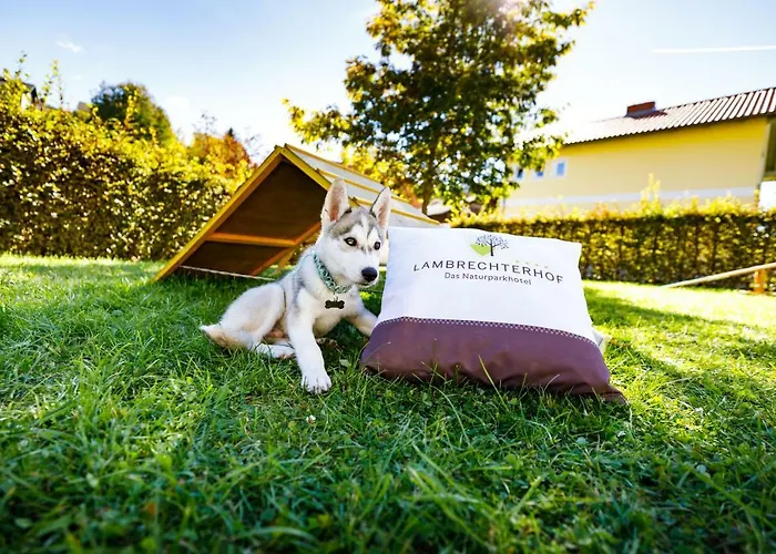 Lambrechterhof - Naturparkhotel