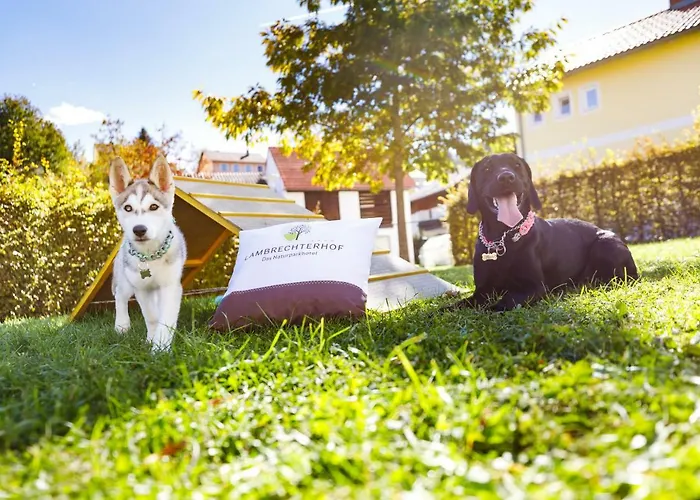Lambrechterhof - Naturparkhotel