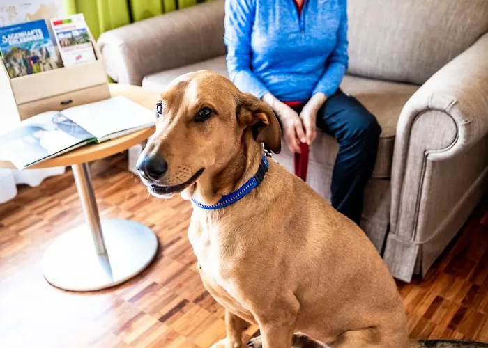 Lambrechterhof - Naturparkhotel 4* Sankt Lambrecht